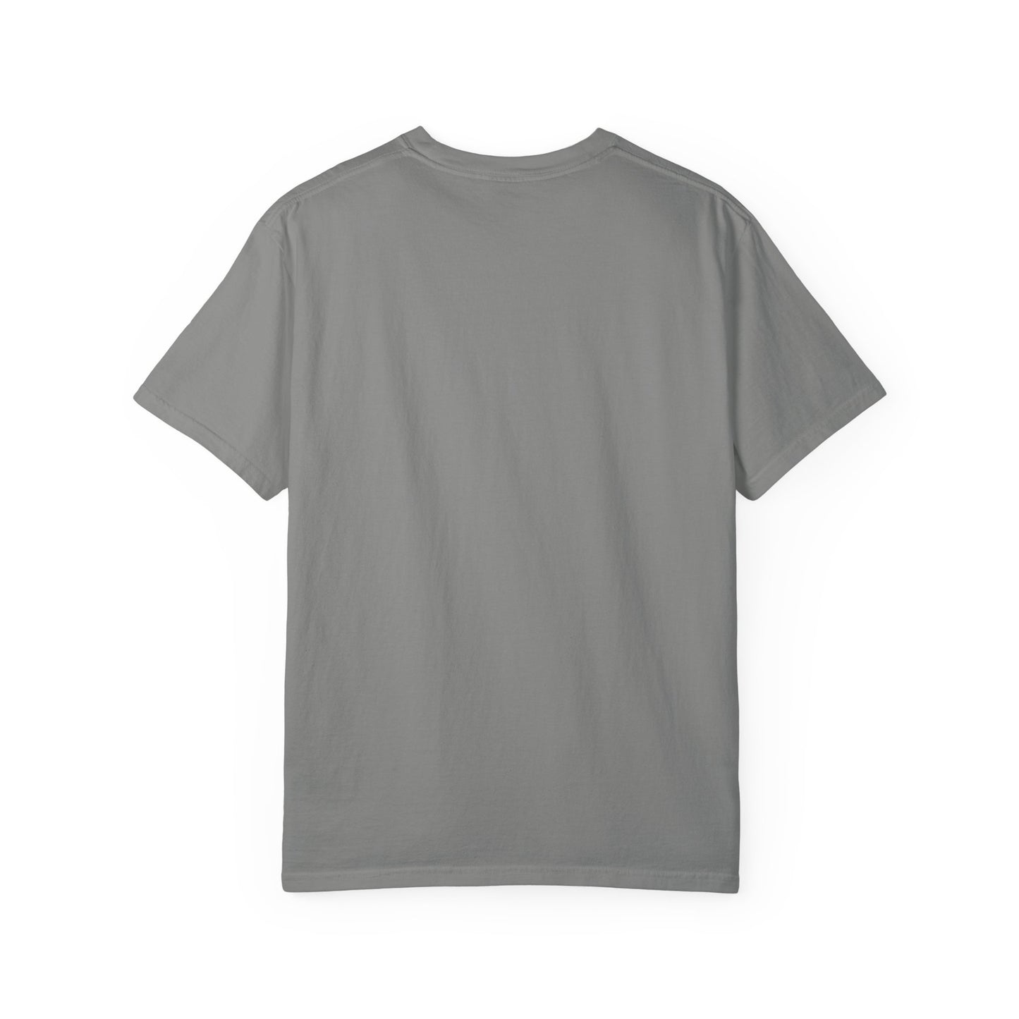 Unisex Garment-Dyed T-Shirt | Adorable Graphic T-shirt | Tarotoads! - “The Hermit"